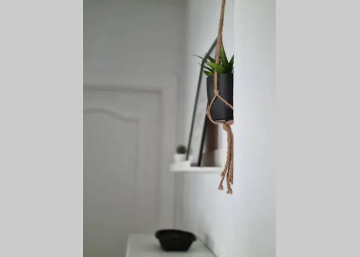 Precioso En La Carihuela *